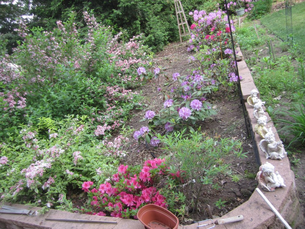 butterfly garden2.JPG
