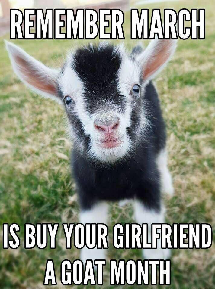 buy her a goat.jpg