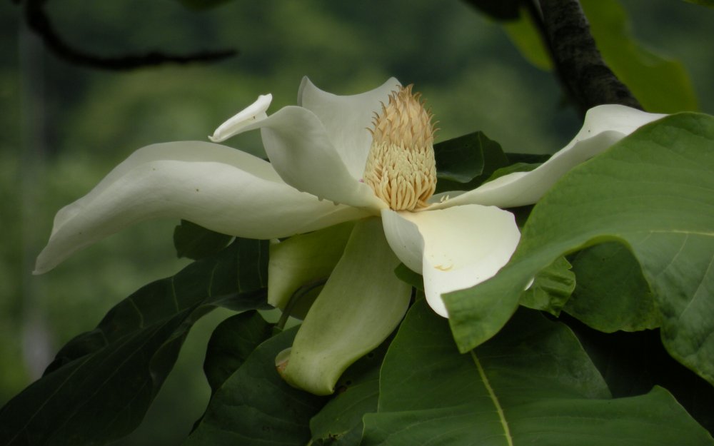 C174388F-9D62-44ED-8CED-BD9EABED6960-1.jpg