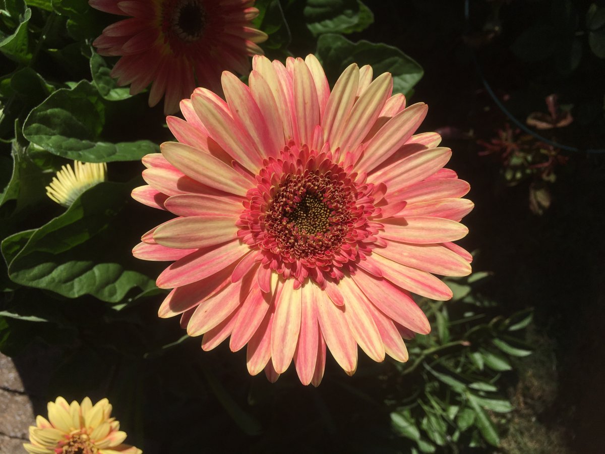C9408FAA-B14B-4866-A6E4-84C5E60C8CE7.jpeg