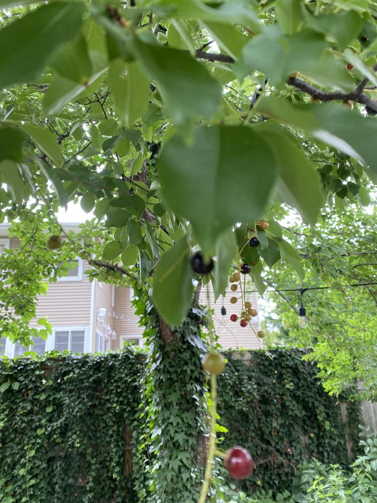 CA07704D-1CB0-4DF7-B701-AC516AA0AA11.jpeg