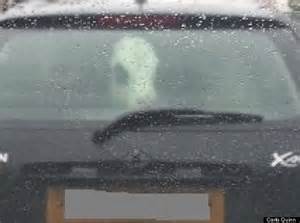 calfincar3.jpg