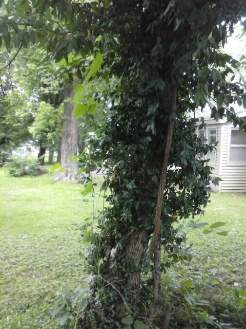 CAM00262.jpg
