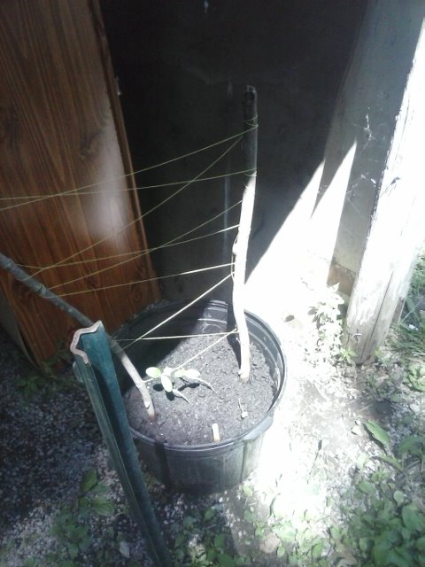 CAM00270.jpg