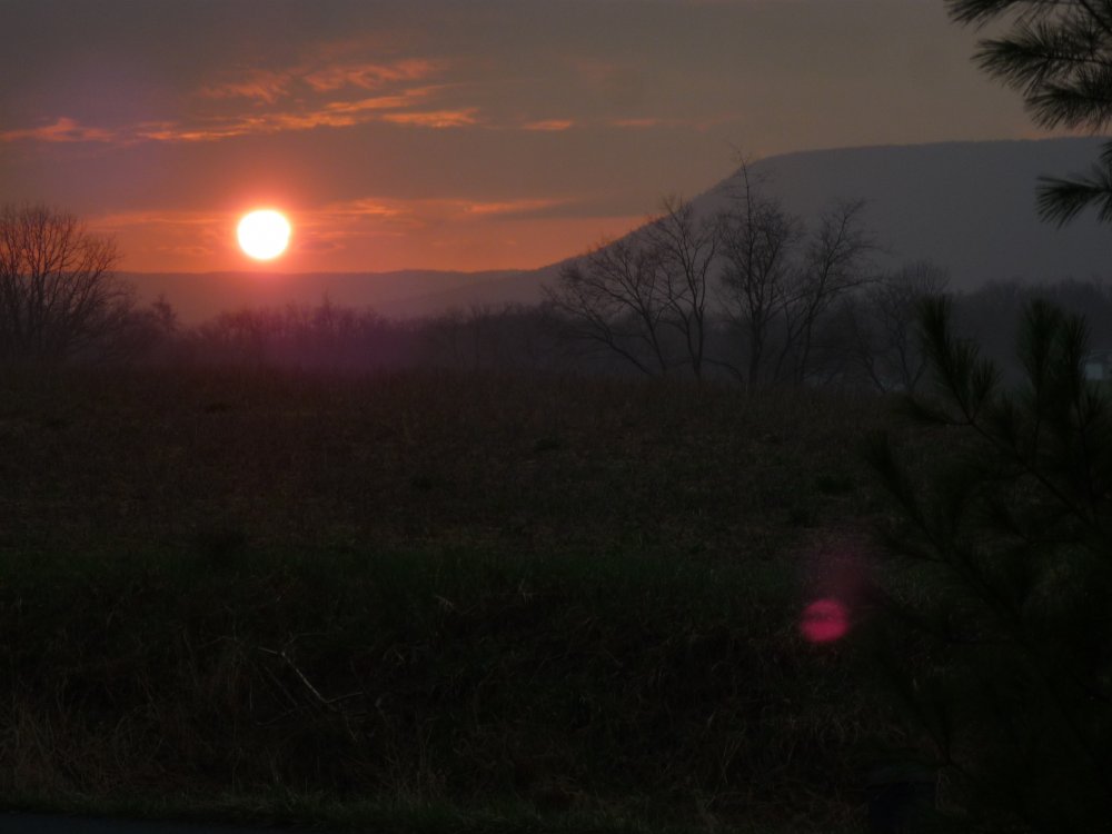 Camera 199.jpg