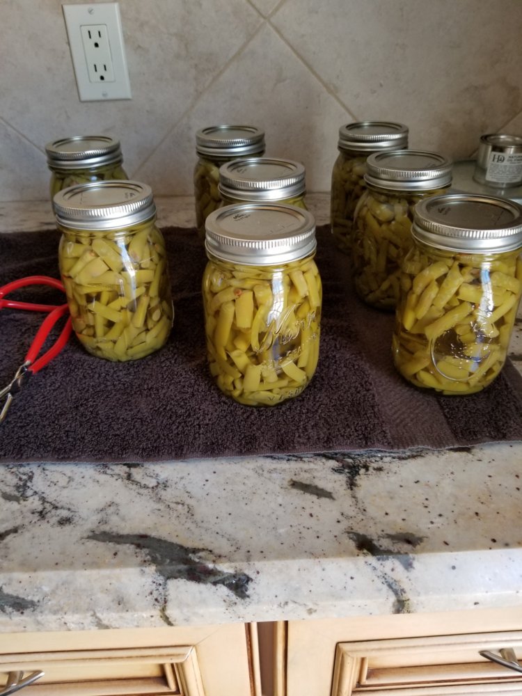 Canned Beans.jpg