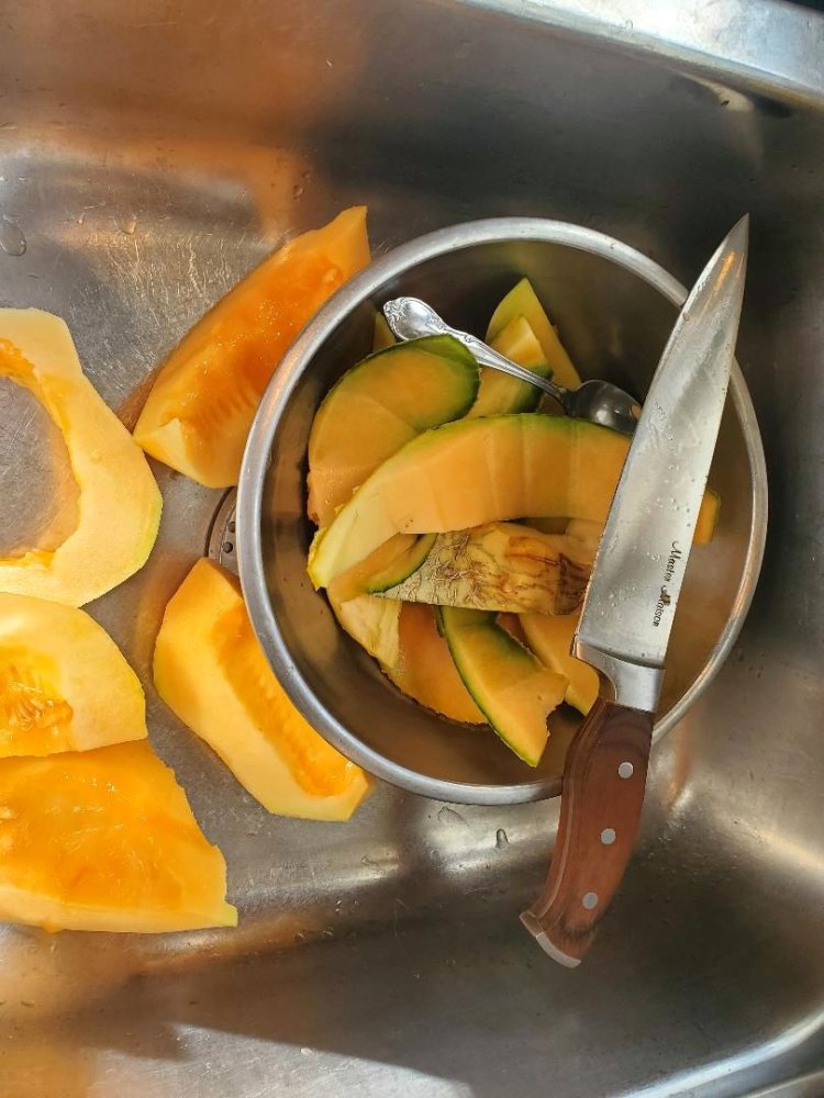 Cantaloupe, last one harvested, 10-22-22.jpg