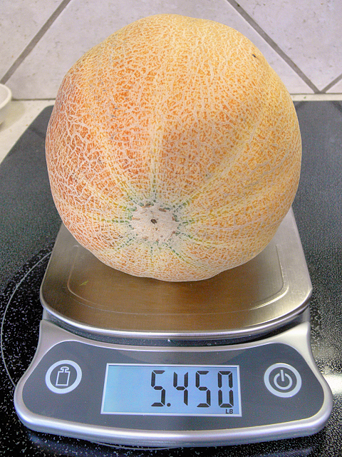 Cantaloupe_070517.jpg