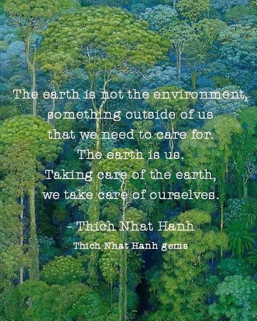 care for the earth.jpg