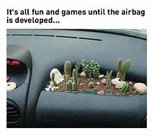 cargarden.jpg