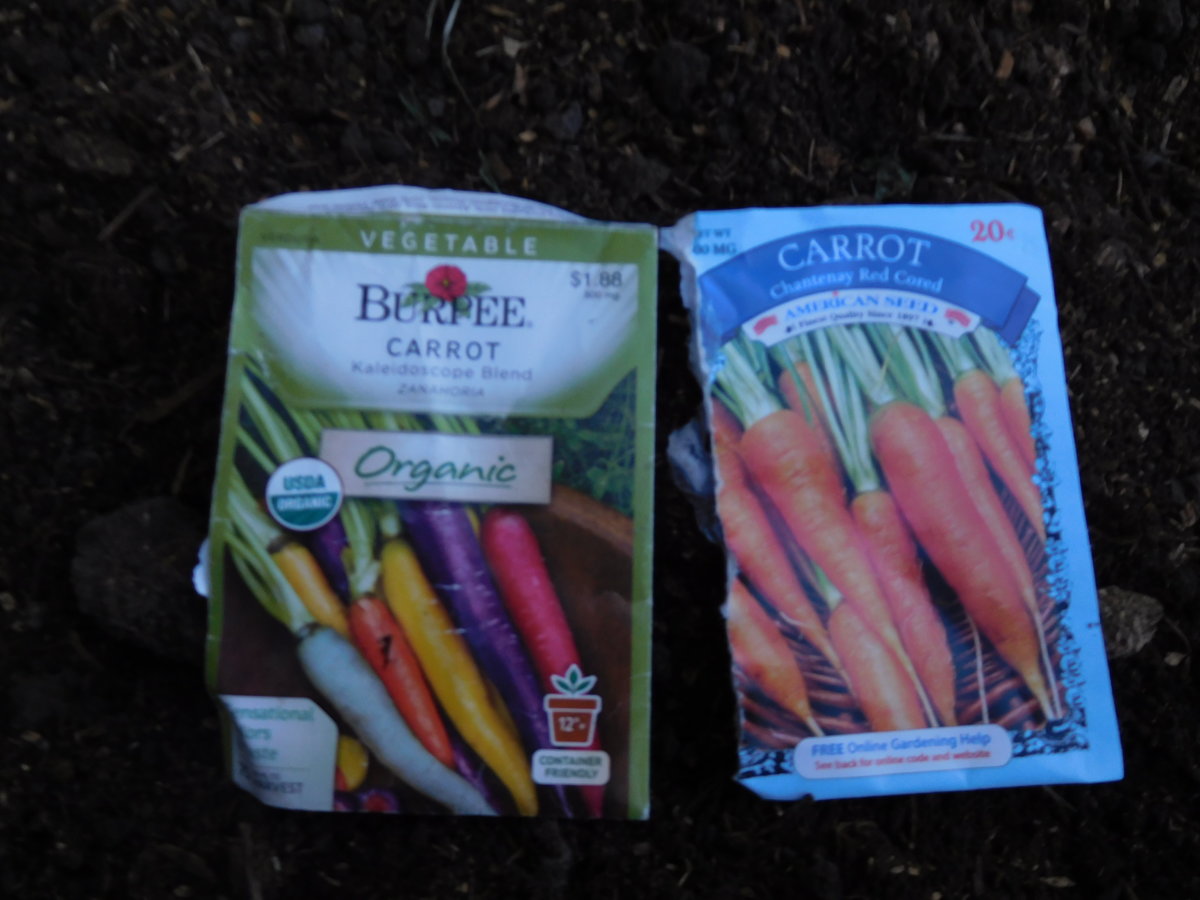 Carrot packages for replant, 08-06-17.JPG