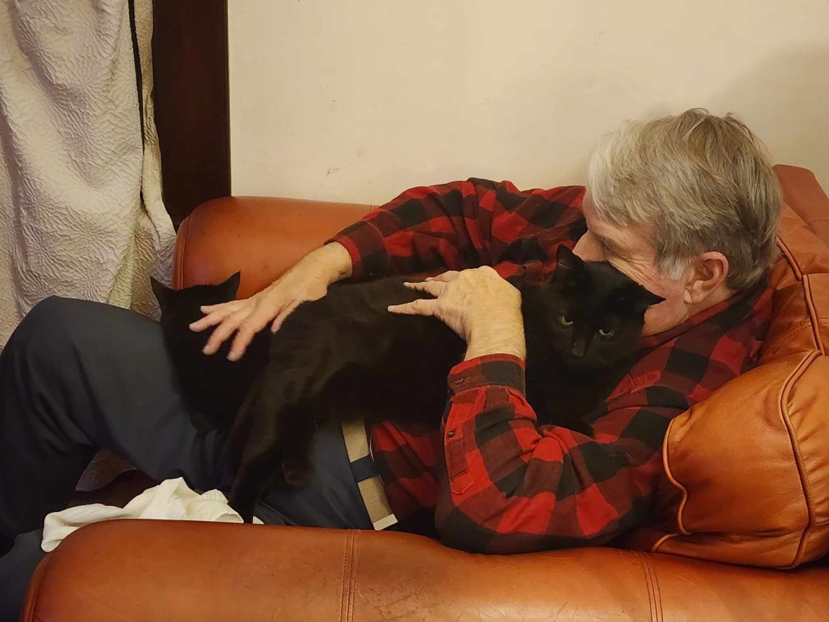 Cat friends, 01-08-24, #2.jpg