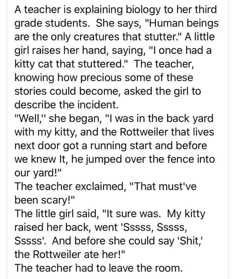 cat's stutter.jpg