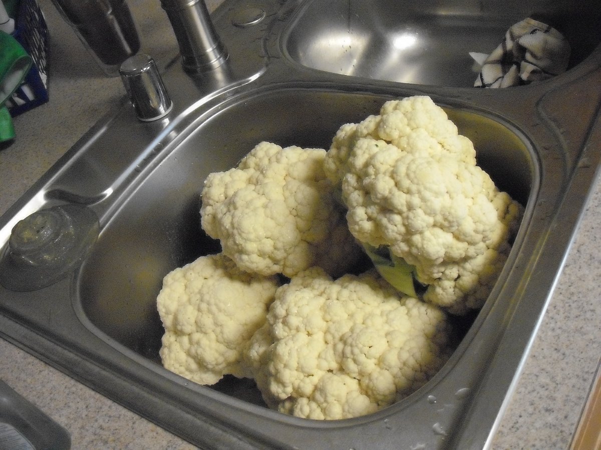 Cauliflower.JPG
