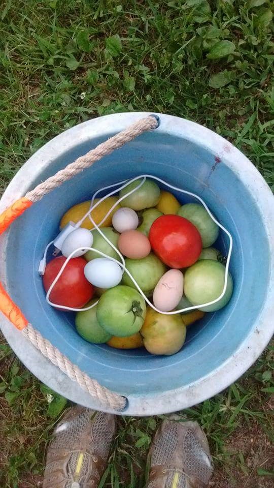 charger harvest.jpg