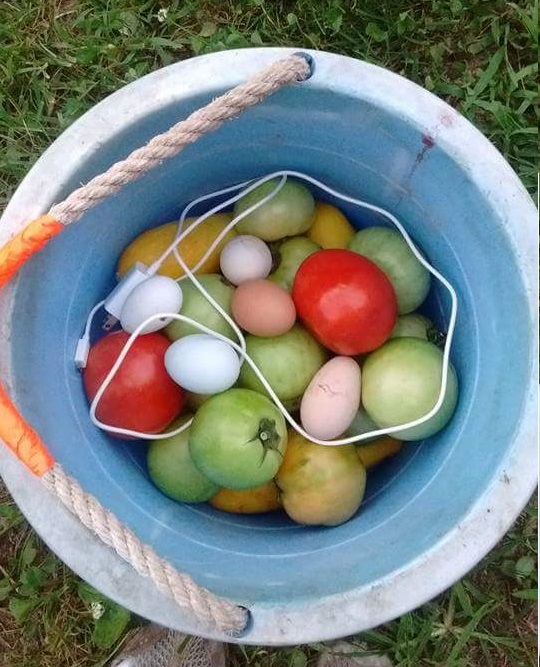 charger harvest.jpg