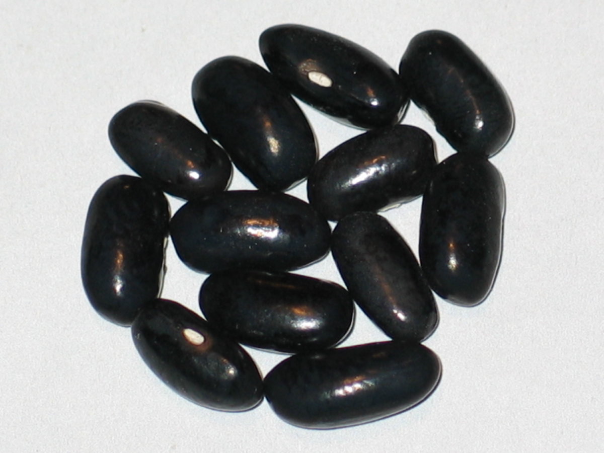 Cherokee Wax #1.jpg