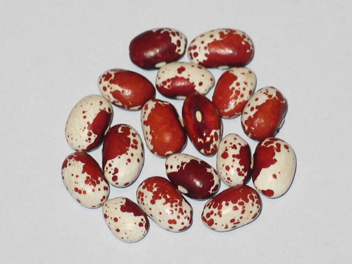 Cherry Trout.JPG