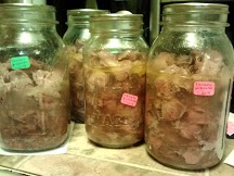 chickens gizzards 2014.jpg