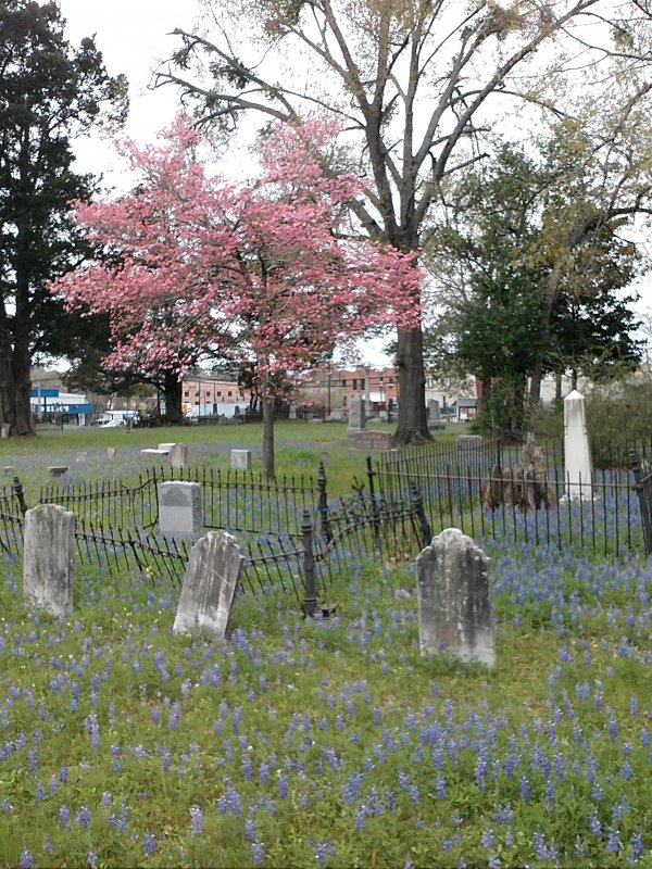 City Cemetery.jpg