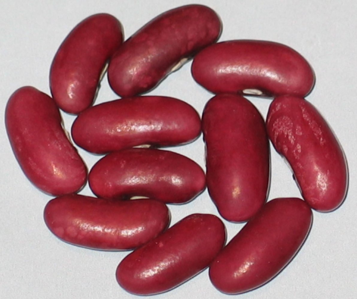 Clarendon Wonder.jpg
