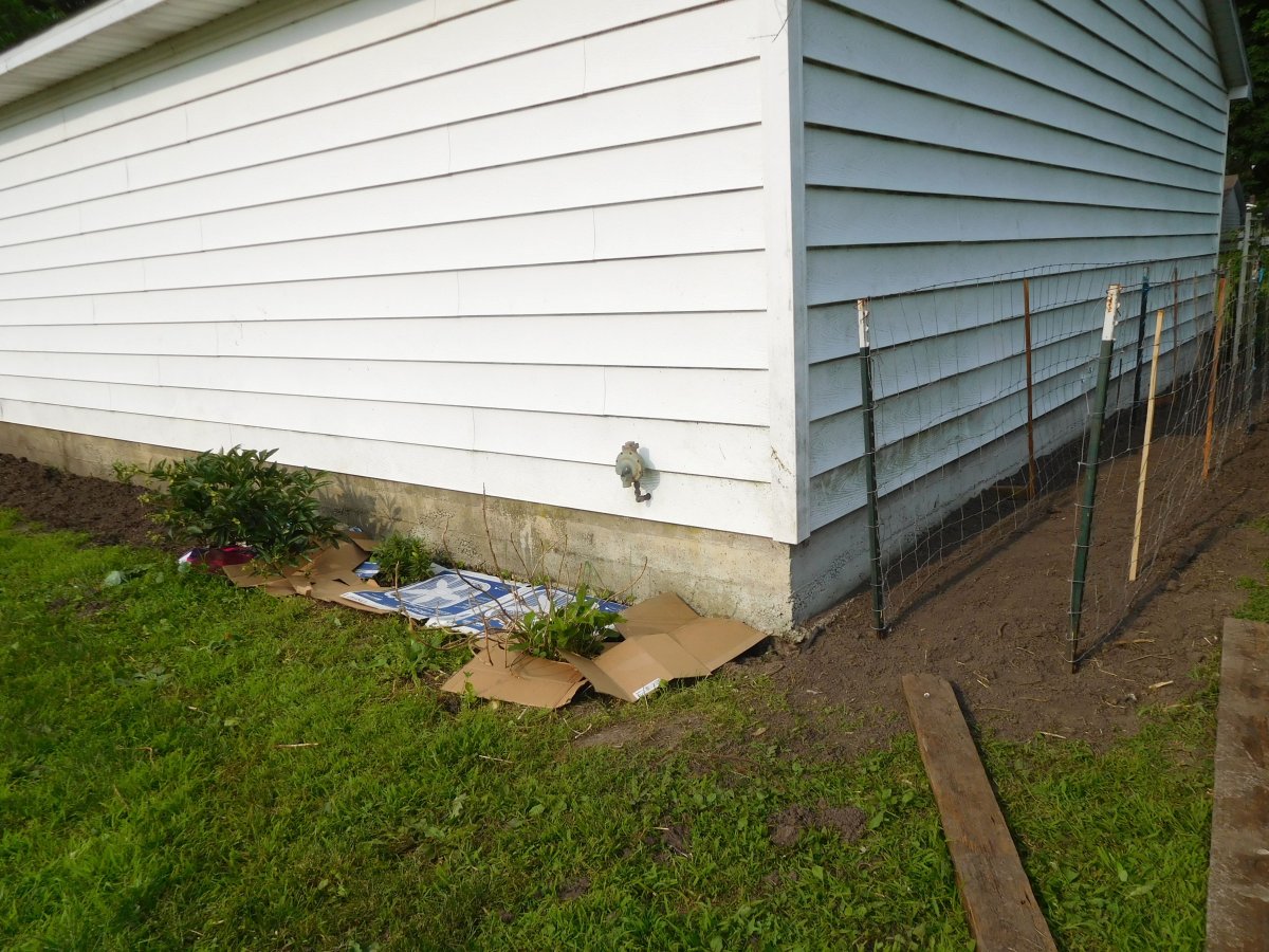 Cleanup around the west side garage, 06-04-19.jpg
