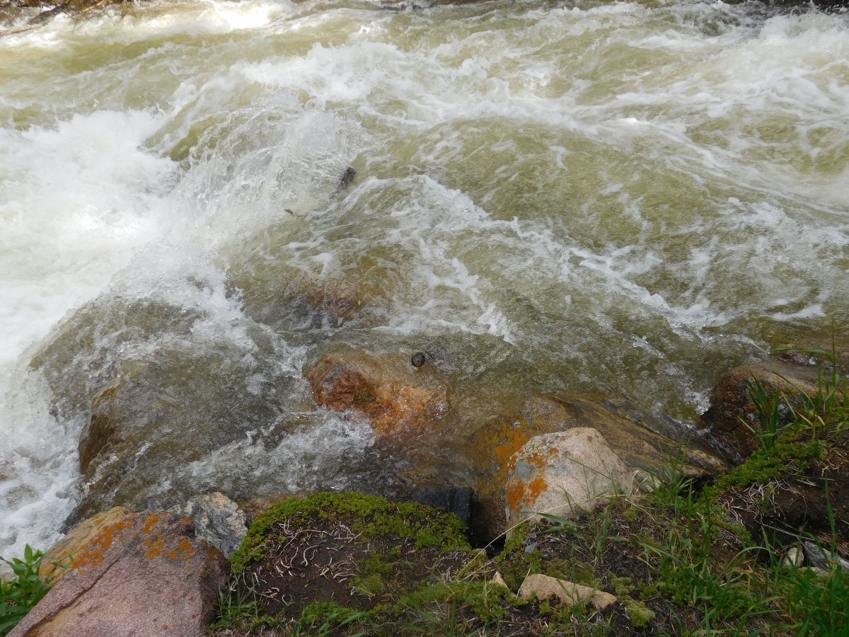Clear Creek 2 stuck logs, June 18th.jpg