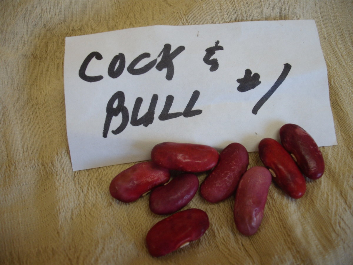 Cock 'n Bull.JPG