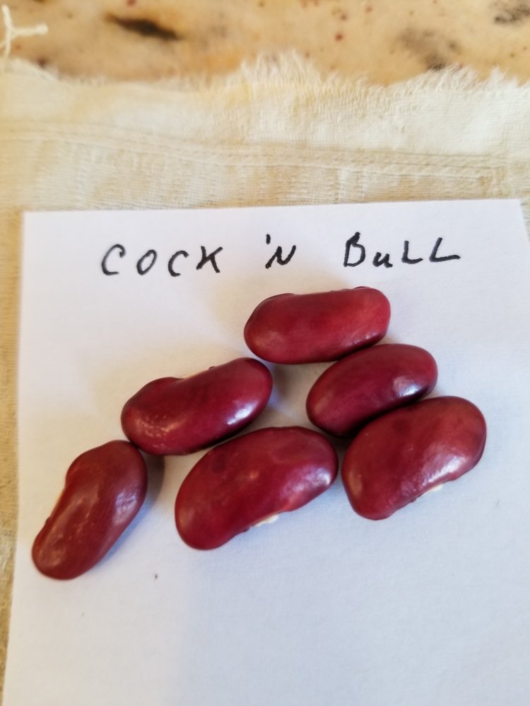 Cock 'N Bull.jpg