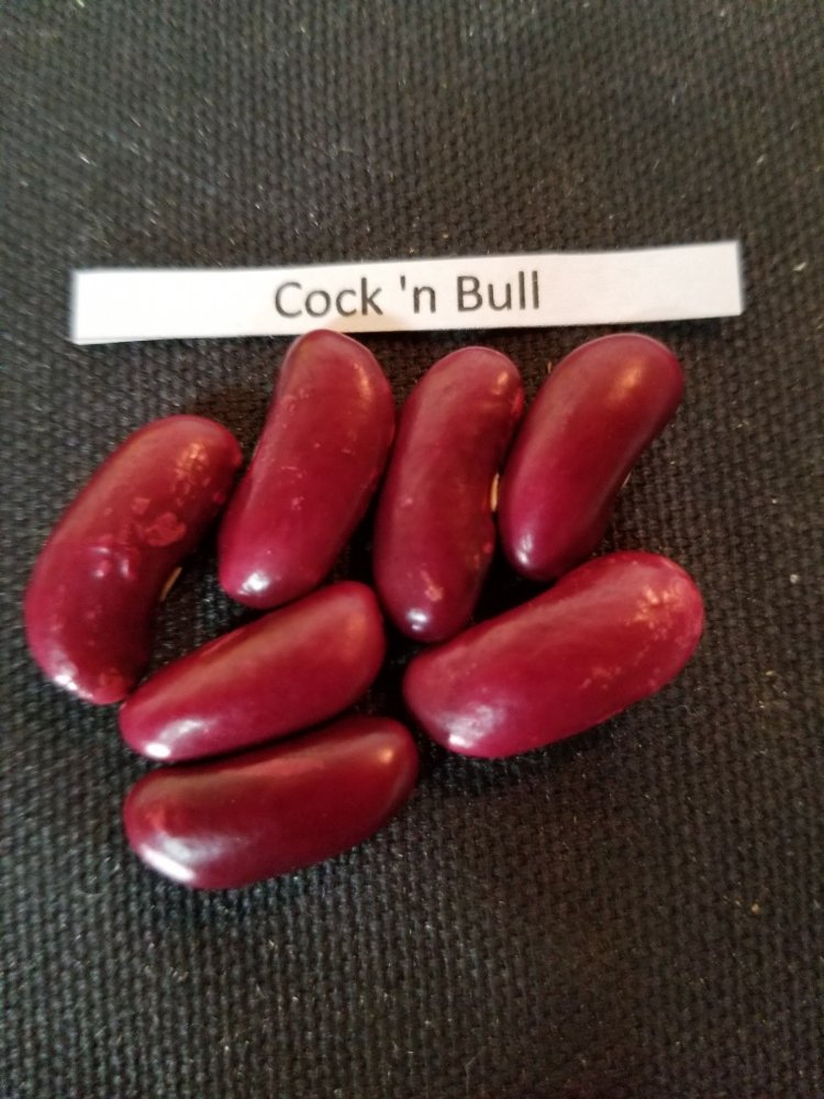 Cock 'n Bull Planted.jpg