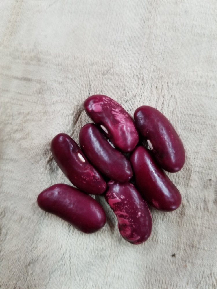 Cock N Bull Seeds.jpg