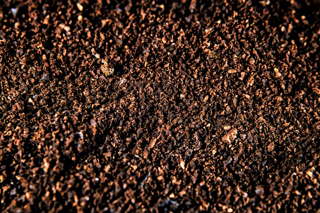 Using Coffee Grounds For Your Indoor Plants Using Coffee Grounds For Your Indoor Plants