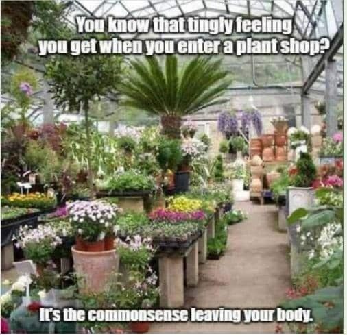 common sense left.jpg