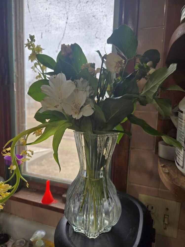 Condolence flowers, 02-22-26.jpg