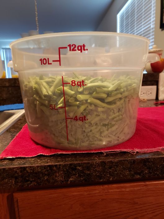 Contender and Kishwaukee Green 8 quarts Cut Up.jpg