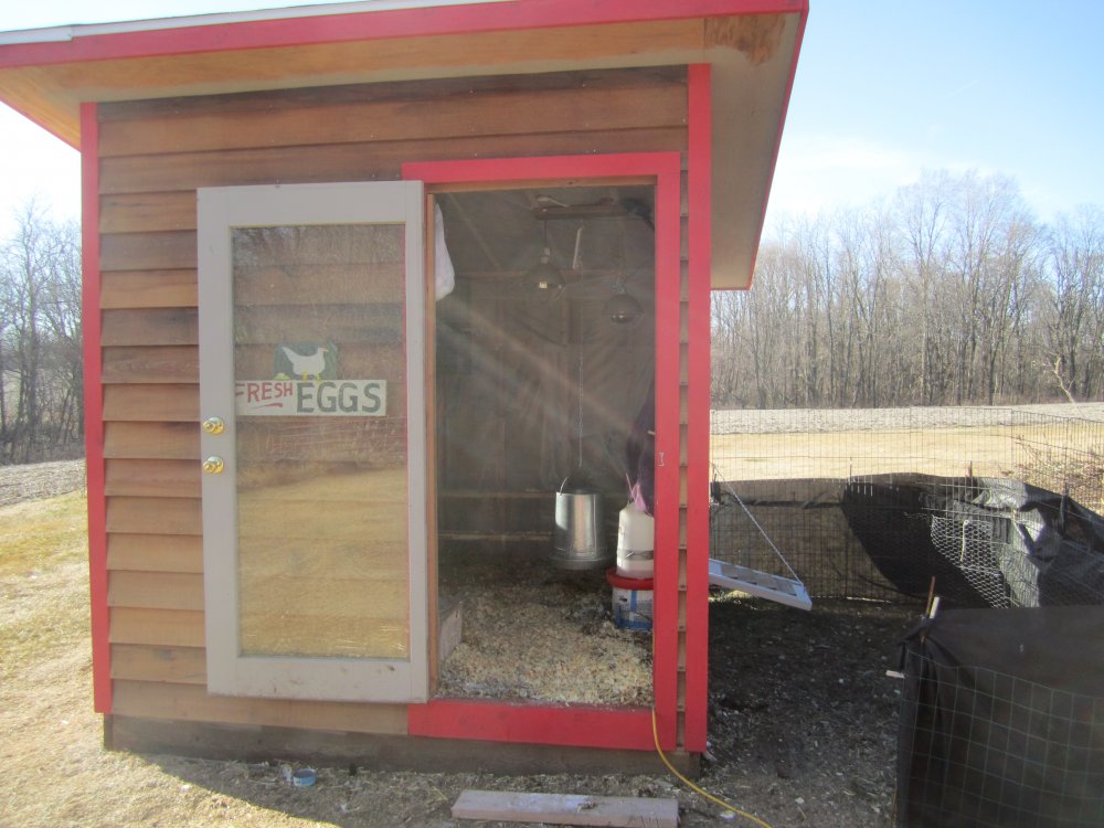 coop open.JPG