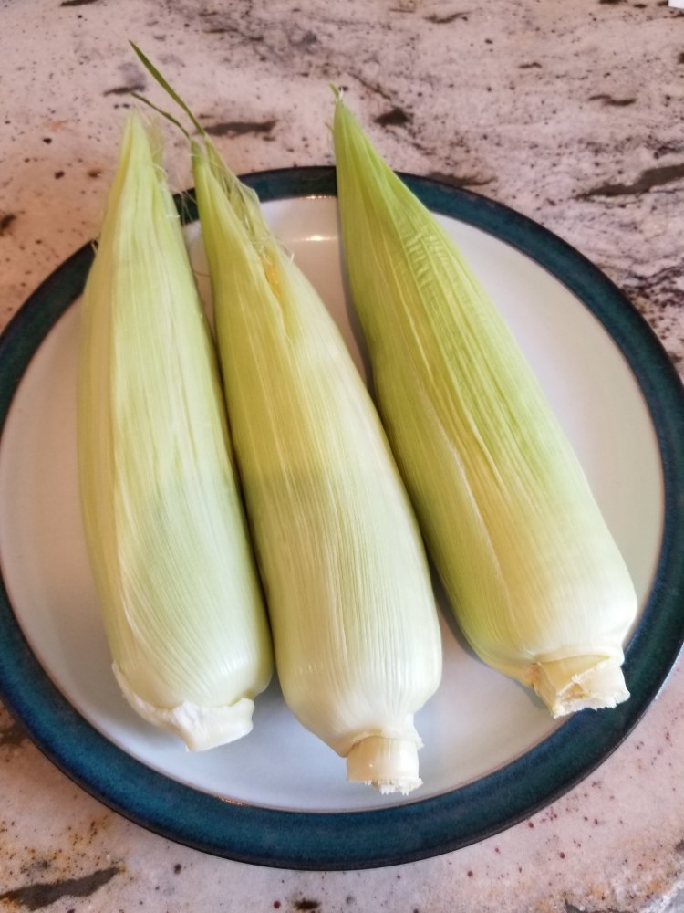 Corn Husks.jpg