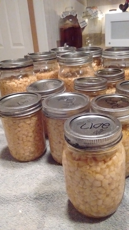 corn.jpg