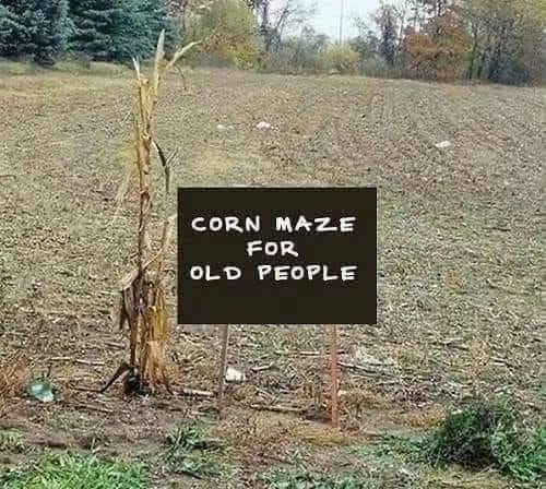 corn maze for old people.jpg