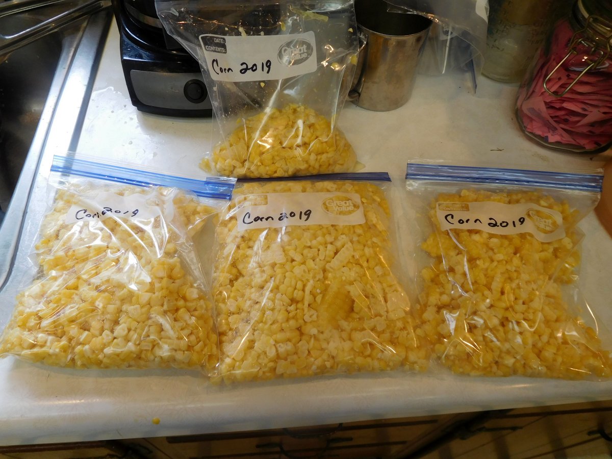 Corn to freeze, 08-20-19, #3.jpg