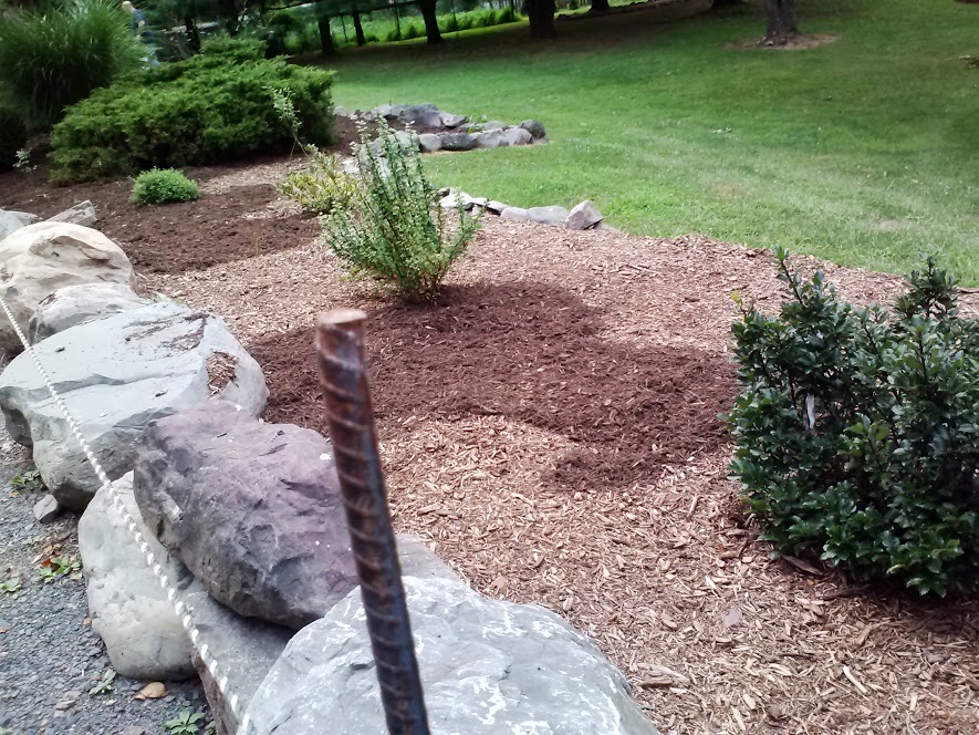 cornergarden5.jpg
