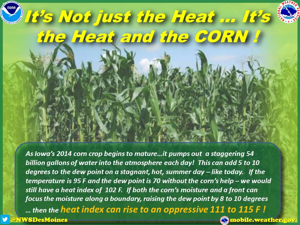 corny.jpg