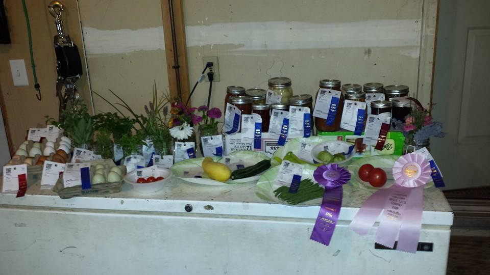 countyfair2014.jpg