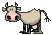 cow[1].gif