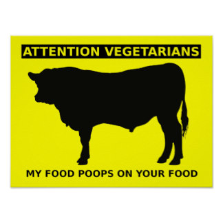 cow poo.jpg