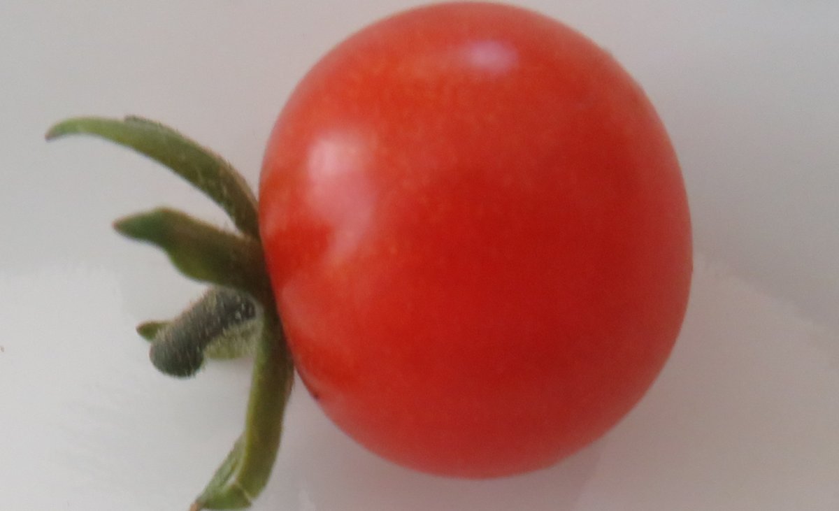 cropped.jpg