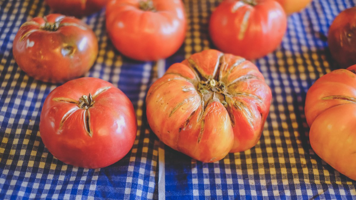 What Causes Tomatoes to Split & Crack