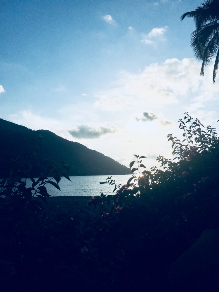 D5399AEA-6D0F-4B02-8FD1-814253FFFE8C.jpeg