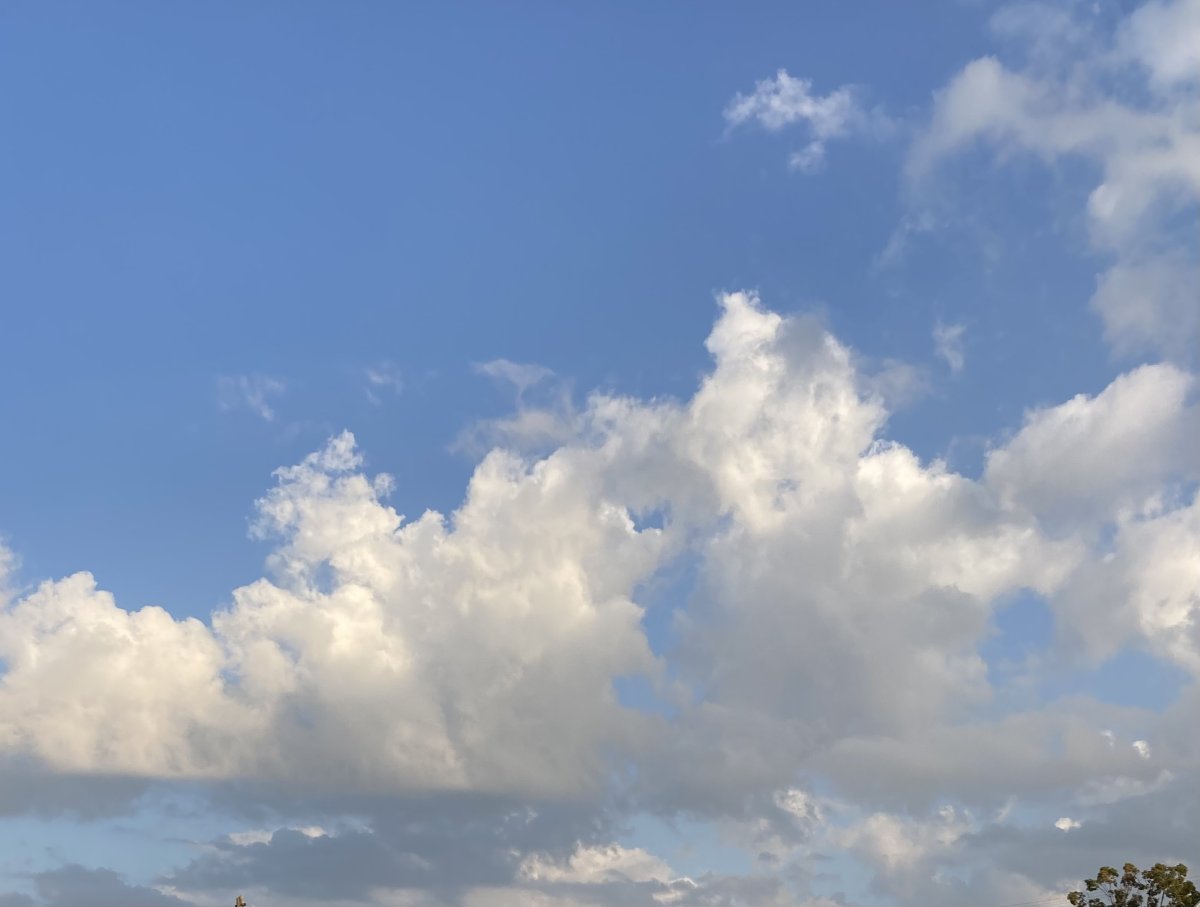 D6270610-D908-457F-86BD-40A60E538B5B.jpeg