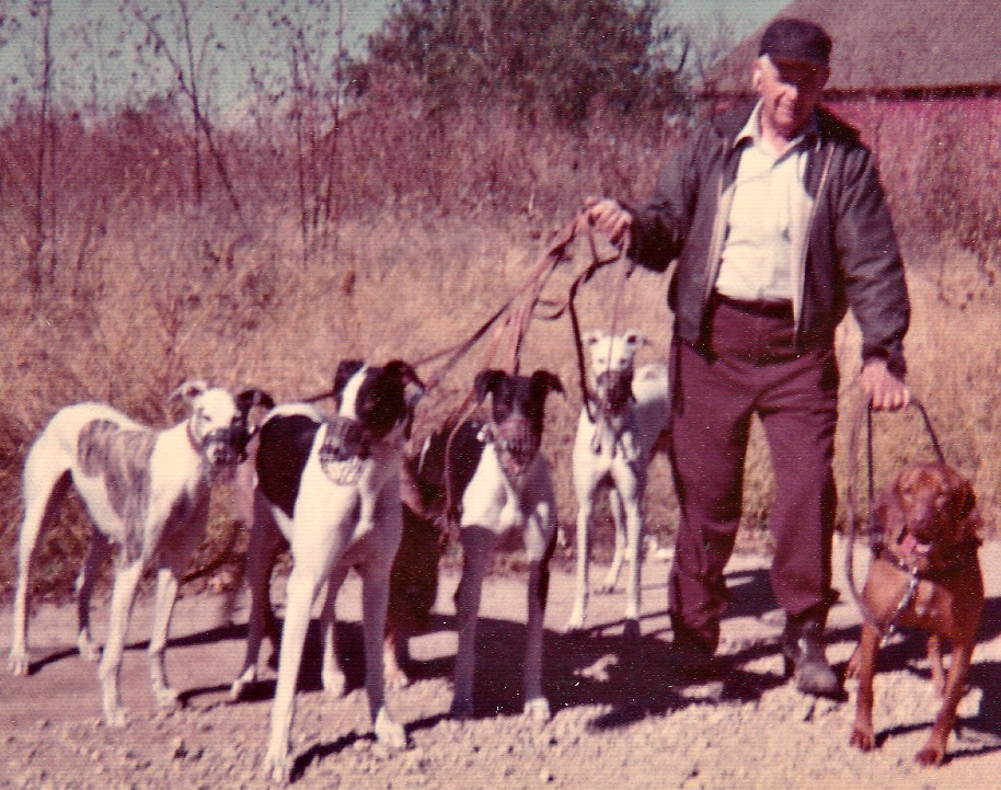 Dad, Gypsy, greyhounds.jpg